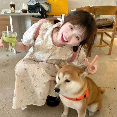 在你的冬夜里闪耀